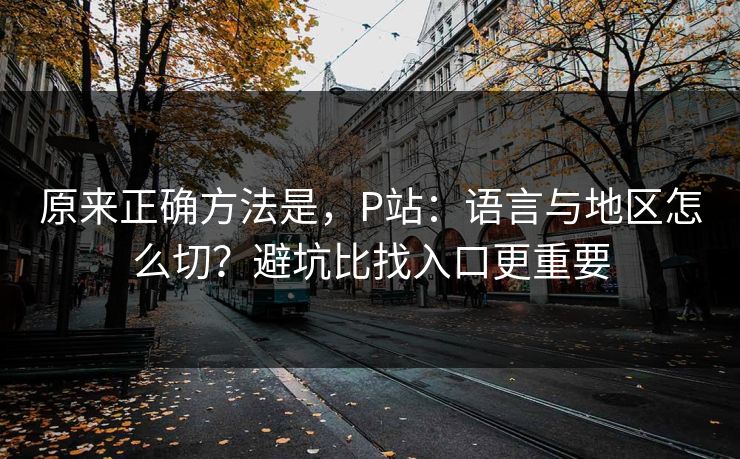 原来正确方法是，P站：语言与地区怎么切？避坑比找入口更重要