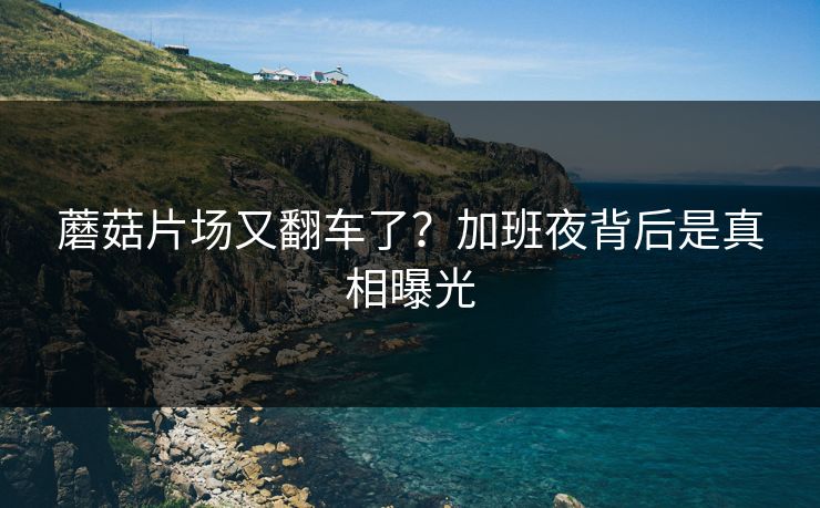 蘑菇片场又翻车了？加班夜背后是真相曝光